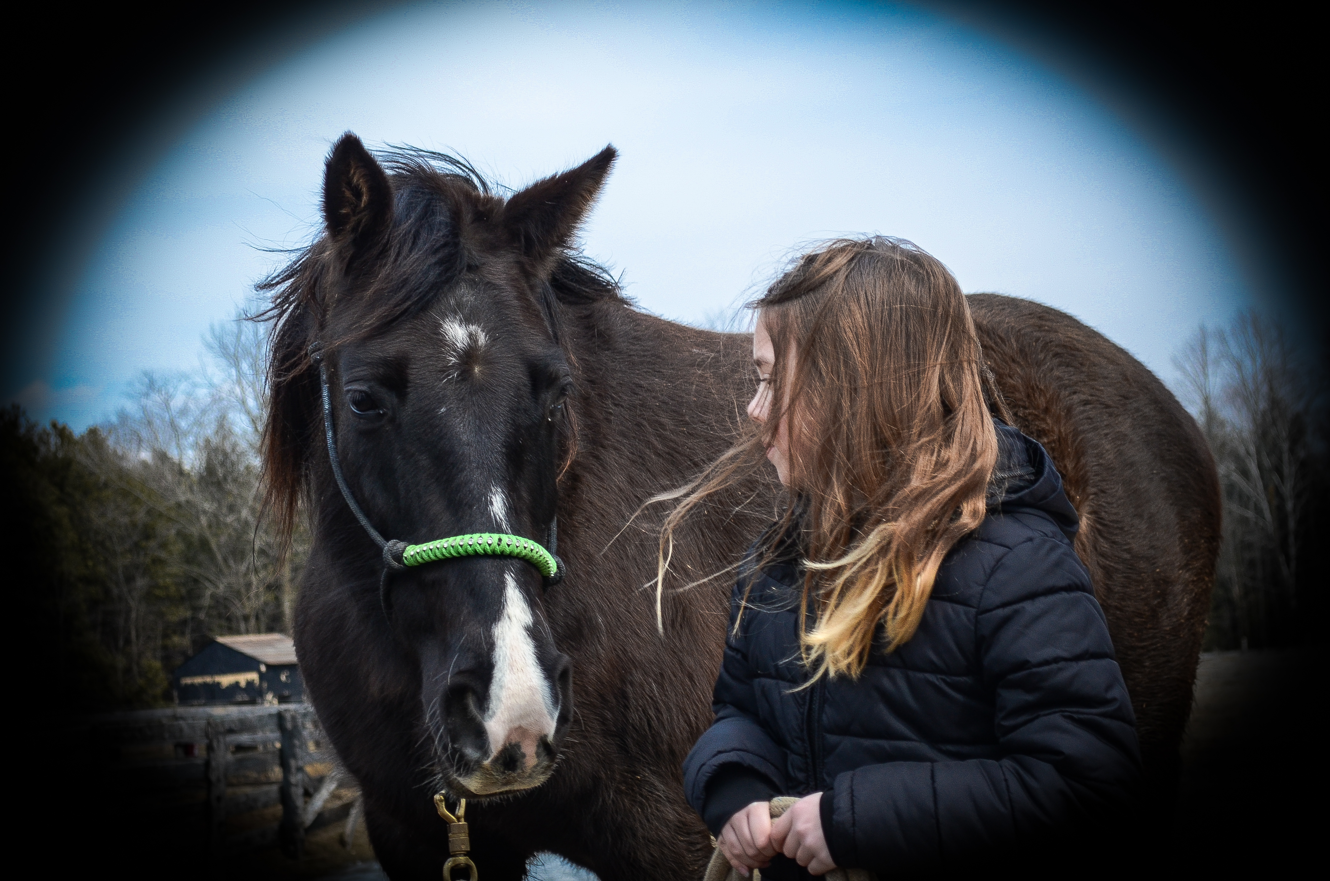 Back to You Equine Assisted Learning